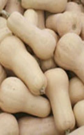 Waltham Butternut Squash Seeds (Winter Type) 2260