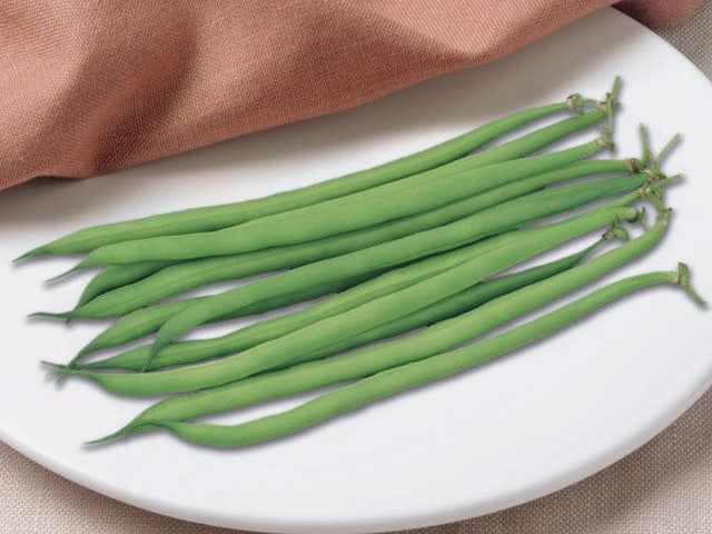 Serengeti Bean Seeds (French Filet Type) 1187