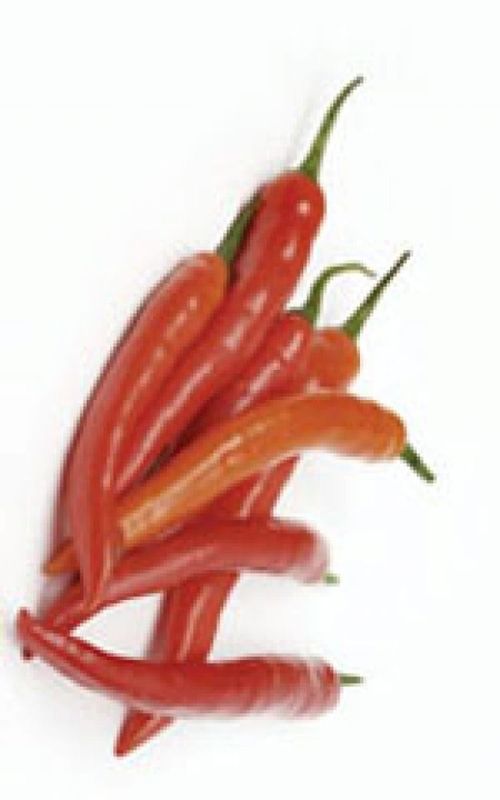 Long Red Cayenne Pepper Seeds (Hot Chili Type) 1935