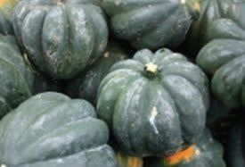Table Queen Squash Seeds (Winter Type) 2290