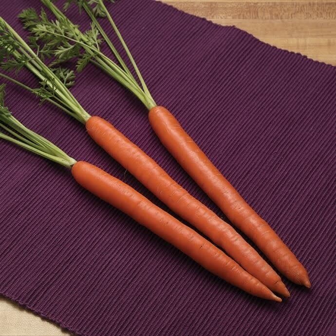 Triton Hybrid Carrot Seeds 1371