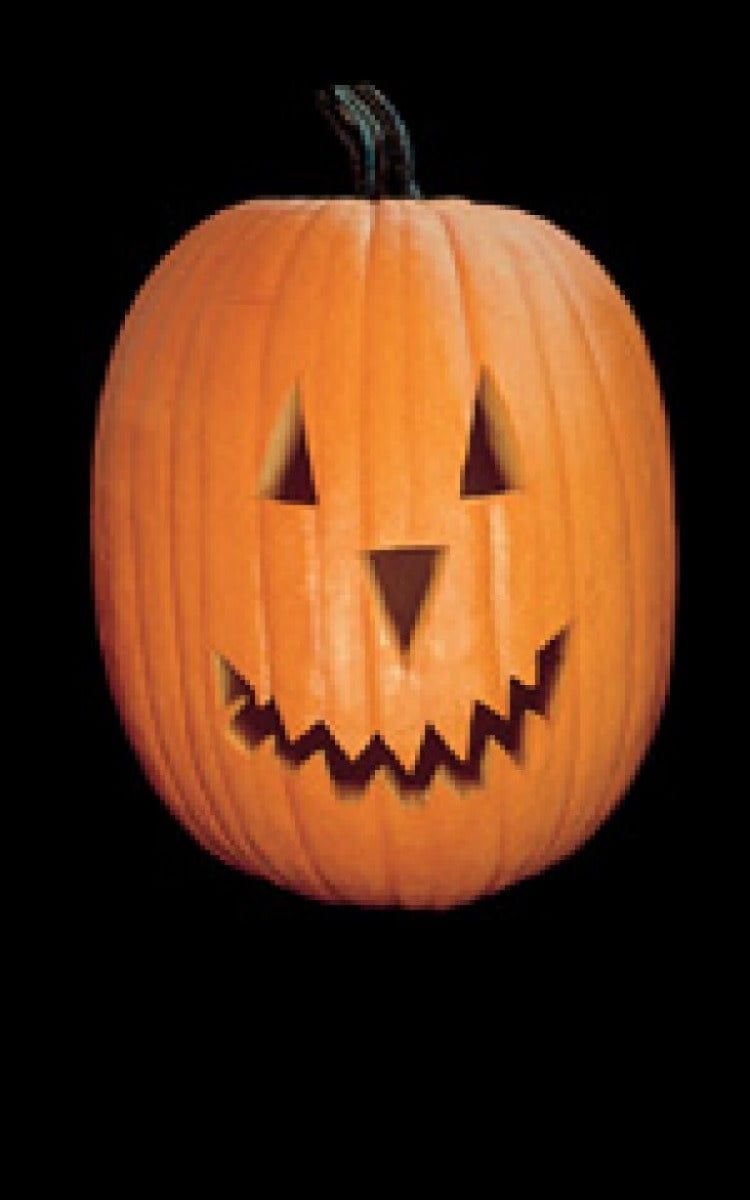 Jack o'Lantern Pumpkin Seeds 2060