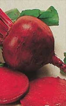 Detroit Dark Red Beet Seeds 1260