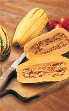 Delicata Squash Seeds (Sweet Potato Type) 2285
