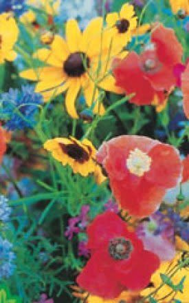 Hummingbird Seed Mixture 6820