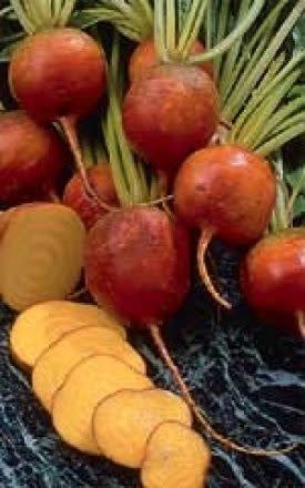 Golden Beet Seeds 1270