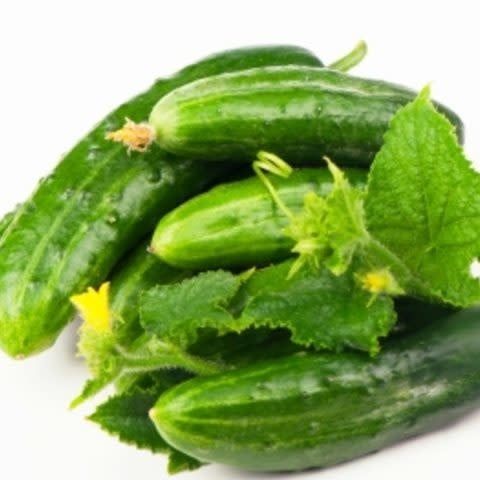 Marketmore Cucumber Seeds (Slicing Type) 1630