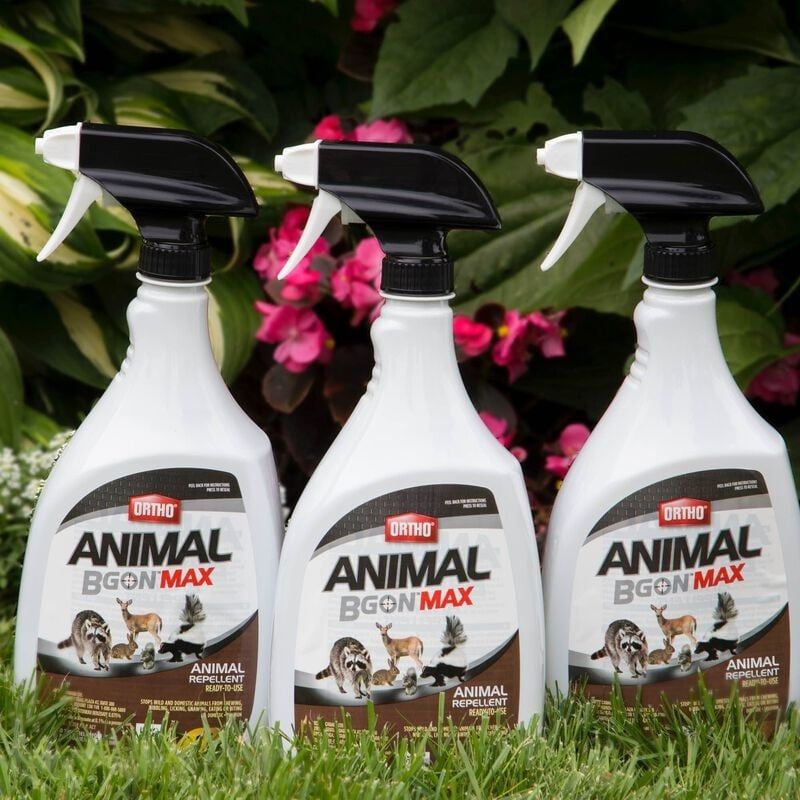 Ortho - Animal B Gon Spray 400g