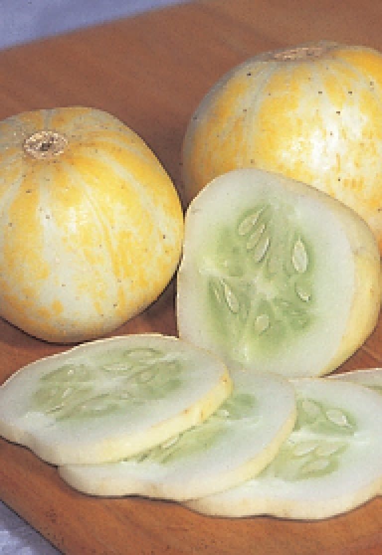 Lemon Cucumber Seeds 1660