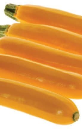 Sebring Hybrid Squash Seeds 2215