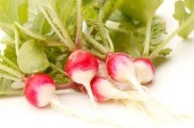 Sparkler White Tipped Radish Seeds 2115