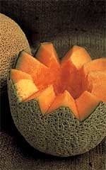 Hale&#39;s Best Cantaloupe / Melon Seeds 1390