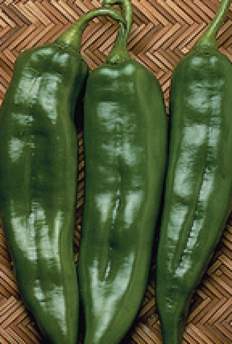 Anaheim Pepper Seeds (Salsa Type) 1920