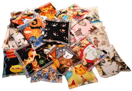 Catnip Toy-Pillow (2pk)