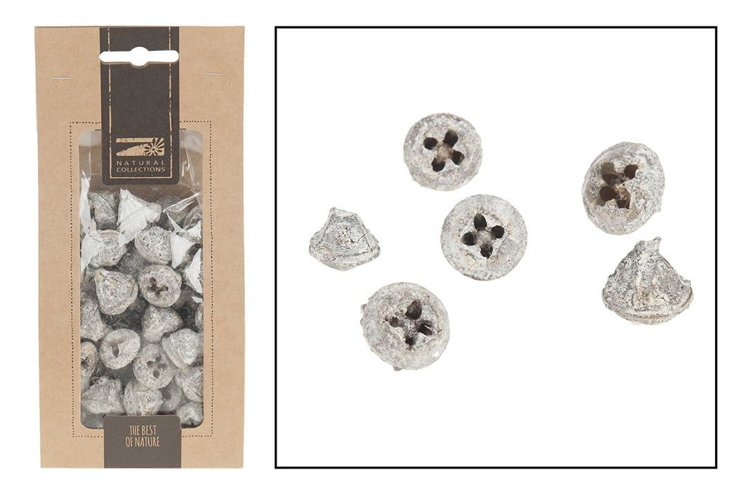 Eucalyptus pods white wash 200gr