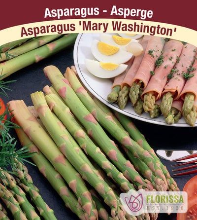 Asparagus - Mary Washington - Pack of 8