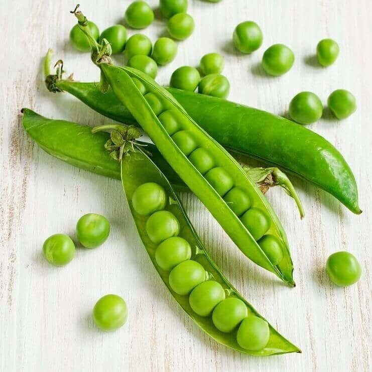 Laxton’s Progress Organic Peas Seeds