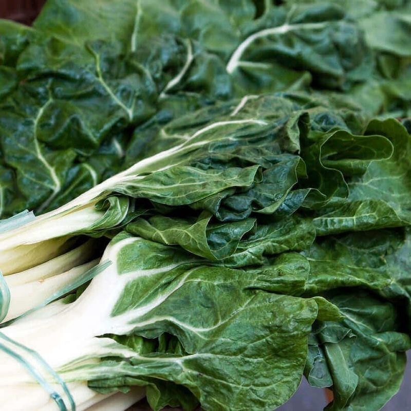 Fordhook Giant Organic Swiss Chard Seeds