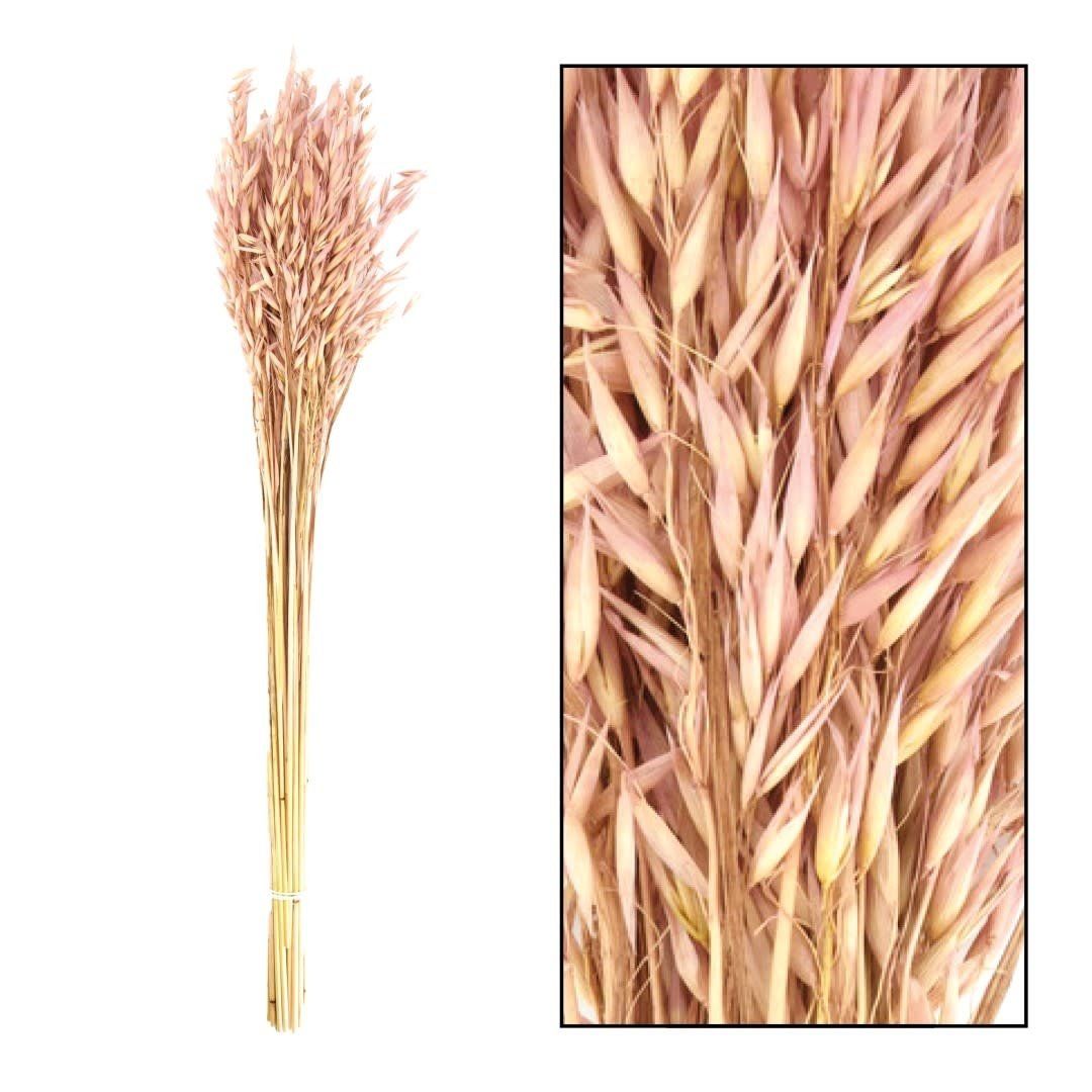 Bouquet Avena 60cm Light Pink