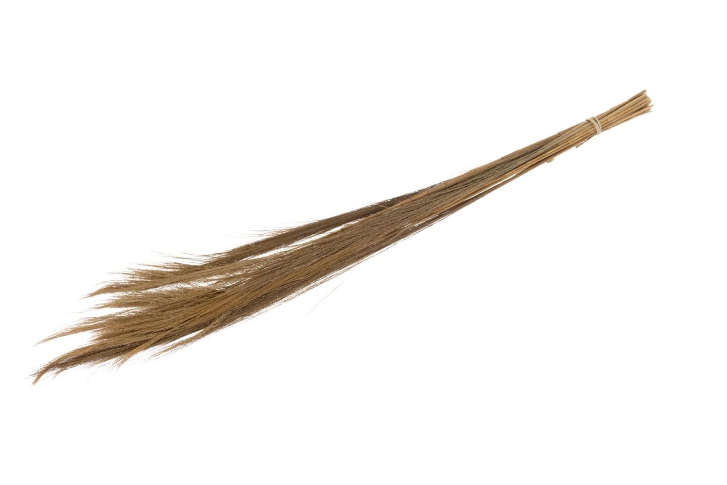 Broom Grass Nature 90-105cm 100gr