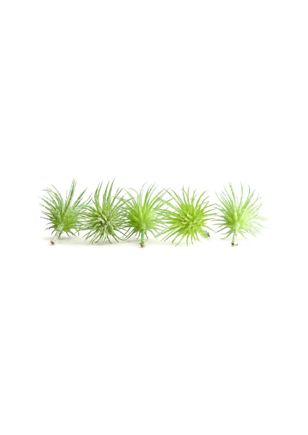 Succulent Artificial 7.5x6cm 5pc