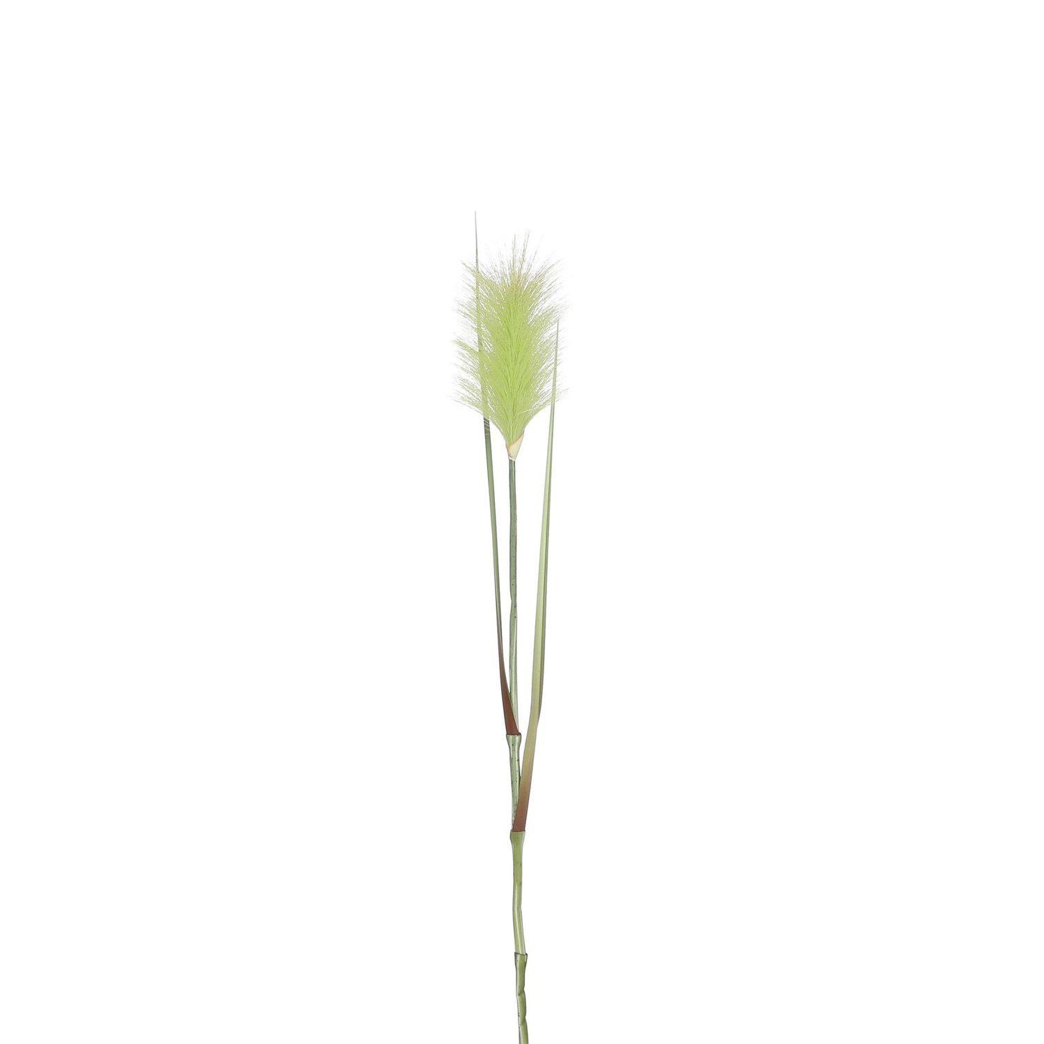 Plume Grass Green - l72xd10cm