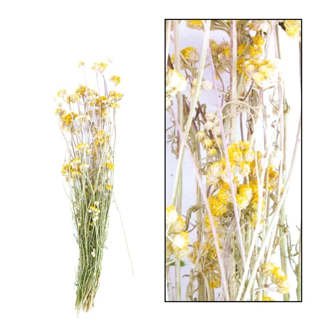 Lona - 49.5x14.5x8.5cm - Yellow