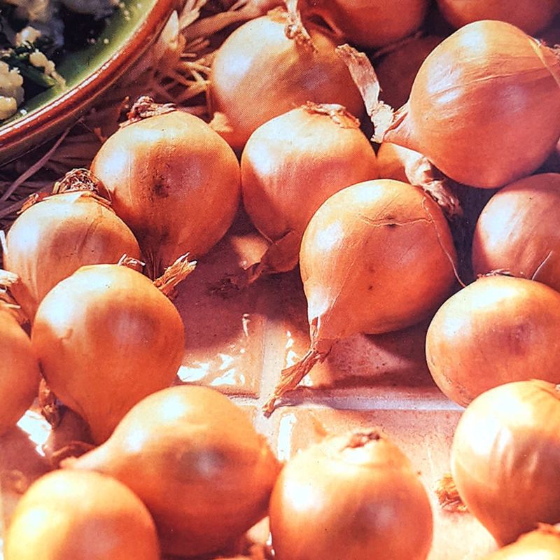 Onions - Laval - Shallot French Gourmet