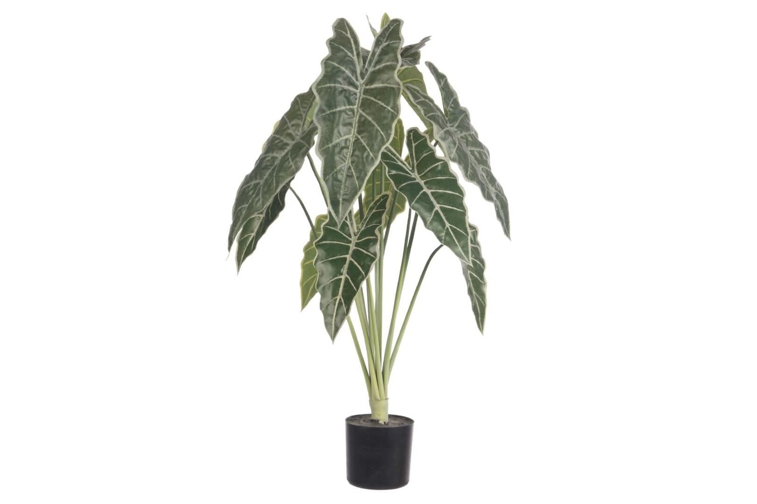 Artificial Grand Syngonium with Pot 81cm