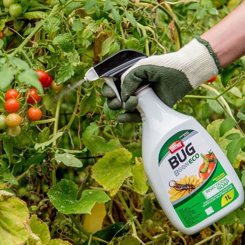 Ortho - Bug B Gon ECO Insecticidal Soap Ready to Use - 1L