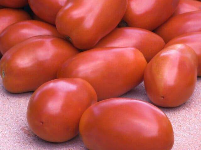 San Marzano Organic Tomato Seeds