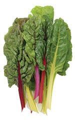 Rainbow Organic Swiss Chard Seeds