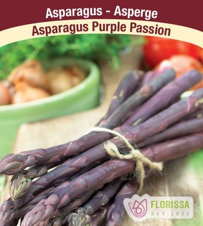 Asparagus - Purple Passion - Pack of 5