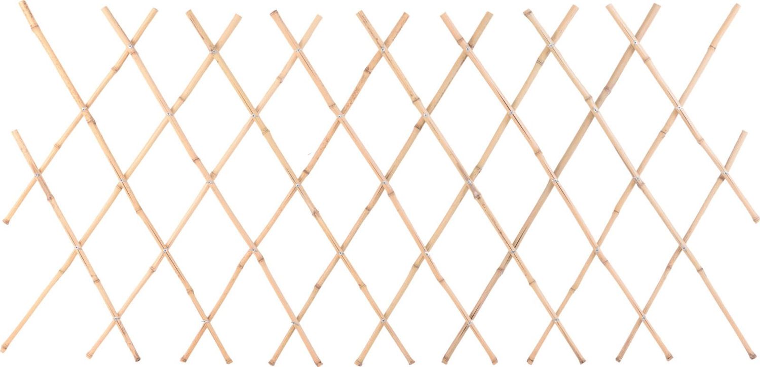 Trellis Bamboo