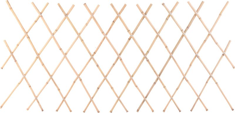Trellis Bamboo