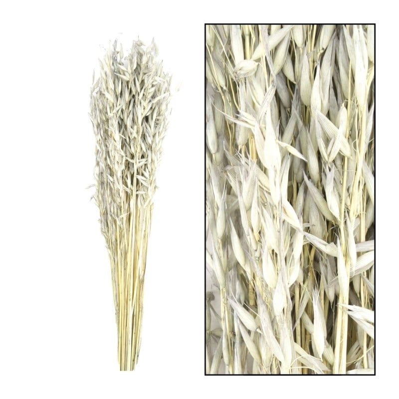 Bouquet Avena - Grey-Wash - 60cm