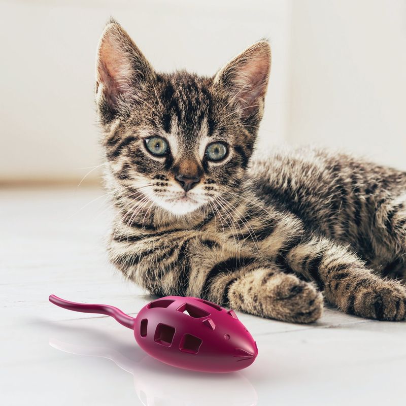 Aikiou Treat Toy Mouse - Aqua