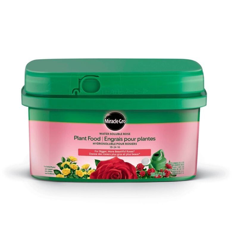 Miracle-Gro Soluble Rose Plant Food 18-24-16 500g