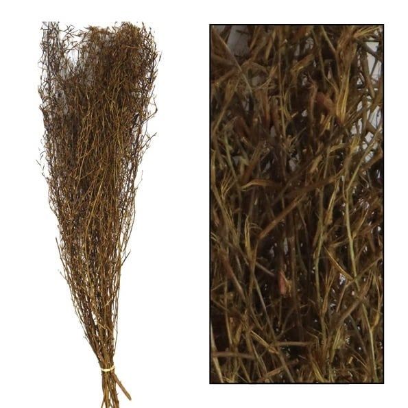 Chili Grass - 85-95cm 100gr