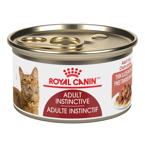RC Cat - Instinctive Adult Thin Slices in Gravy 85g - Single