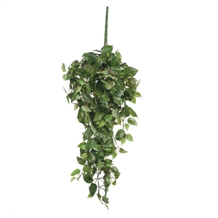 Scindapsus hanging Green - l80xw30xh15cm Scindapsus hanging Green - l80xw30xh15cm