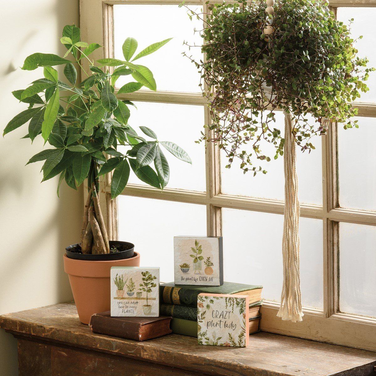 Block Sign Set - Plant Life