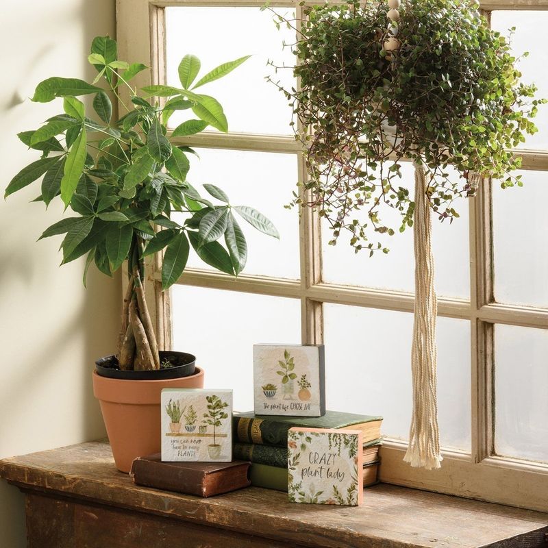 Block Sign Set - Plant Life