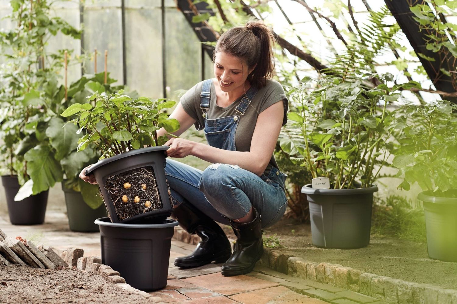 Elho Green Basics Potato Pot Living Black - 33cm