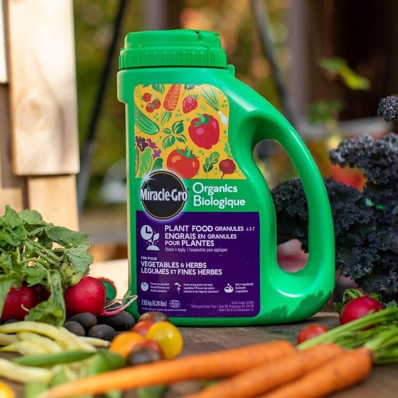Miracle-Gro Organics Plant Food Granules for Vegetables &amp; Herbs   4-3-7   330 g