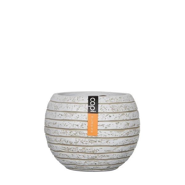 Indoor - Vase Ball Row