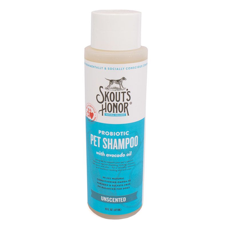 Probiotic Shampoo 16oz - SH