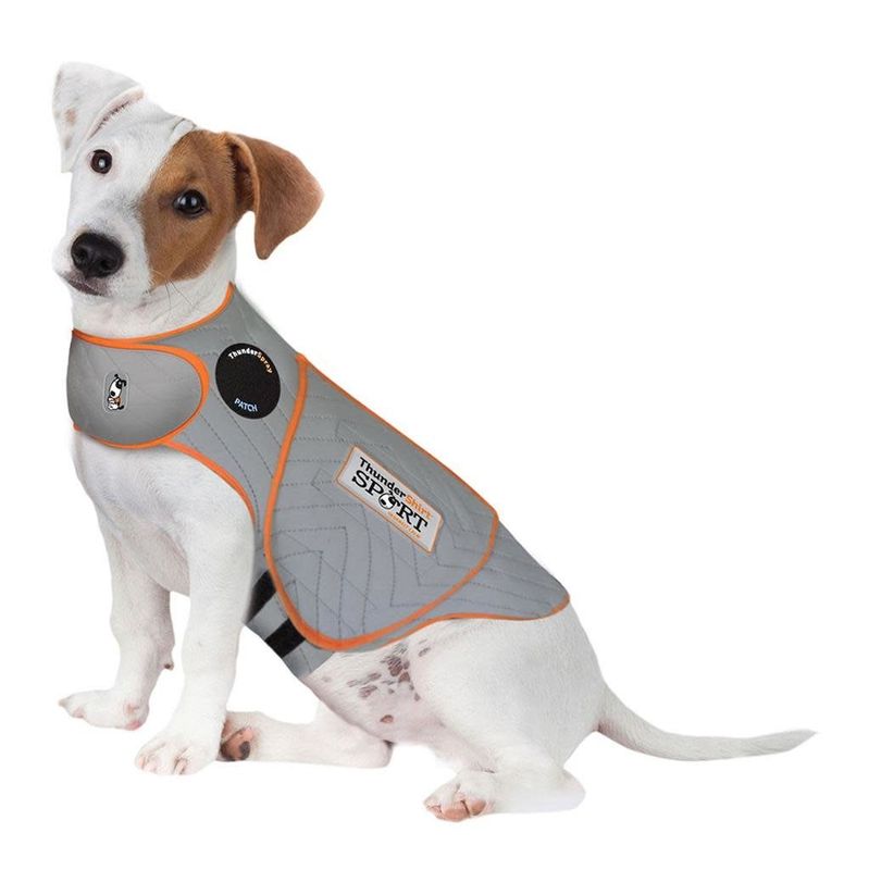 Thunder Shirt Sport Platinum - Dog