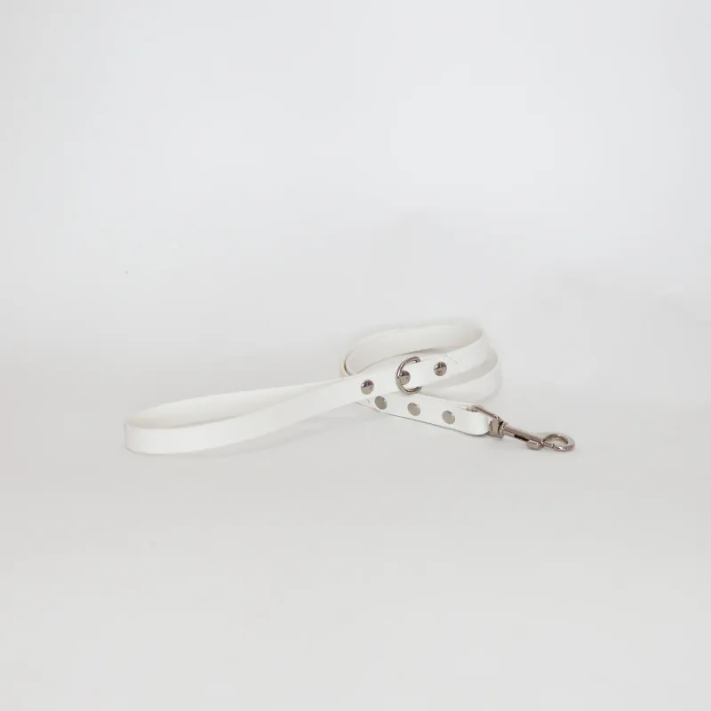 Biothane 5/8" Classic Leash
