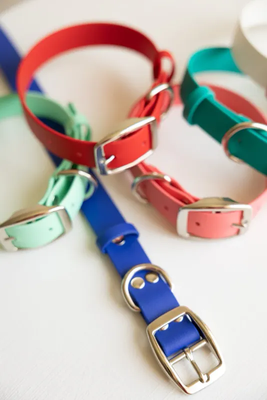 Biothane 5/8" Classic Buckle Collar